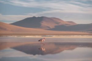 Imagen-Laguna-Colorada-Daniel-Kordan_LRZIMA20160818_0065_4